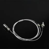 Equipamento a laser Peças 450nm 1.6W Módulo de laser acoplado a fibra azul para detecção de cárie e tratamento de cárie