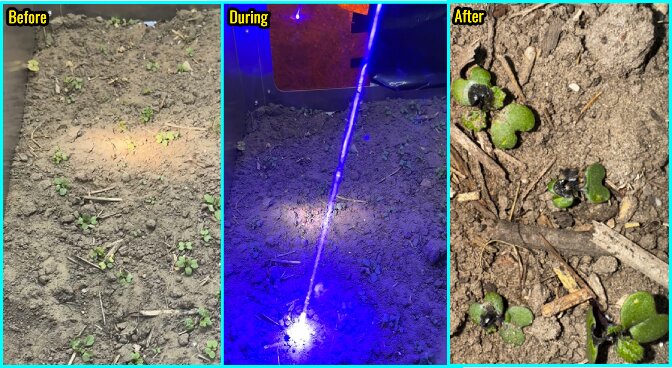 M&oacute;dulo de laser de 80w de 435nm